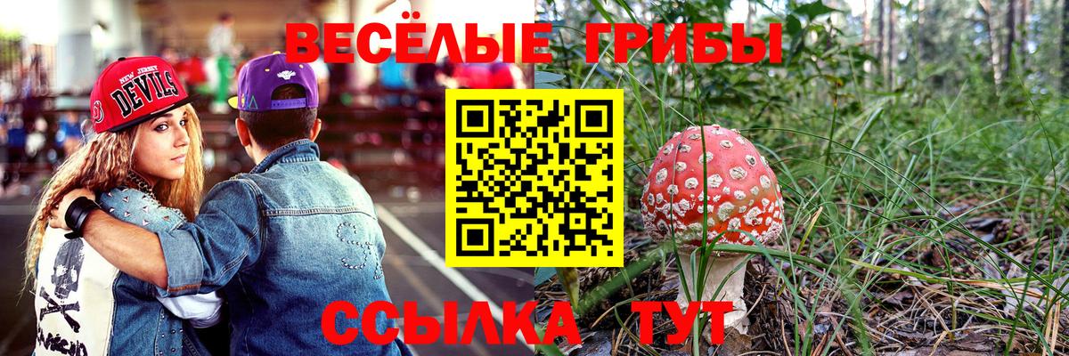 Псилоцибиновые грибы Psilocybe  Вход с VPN  Алейск 