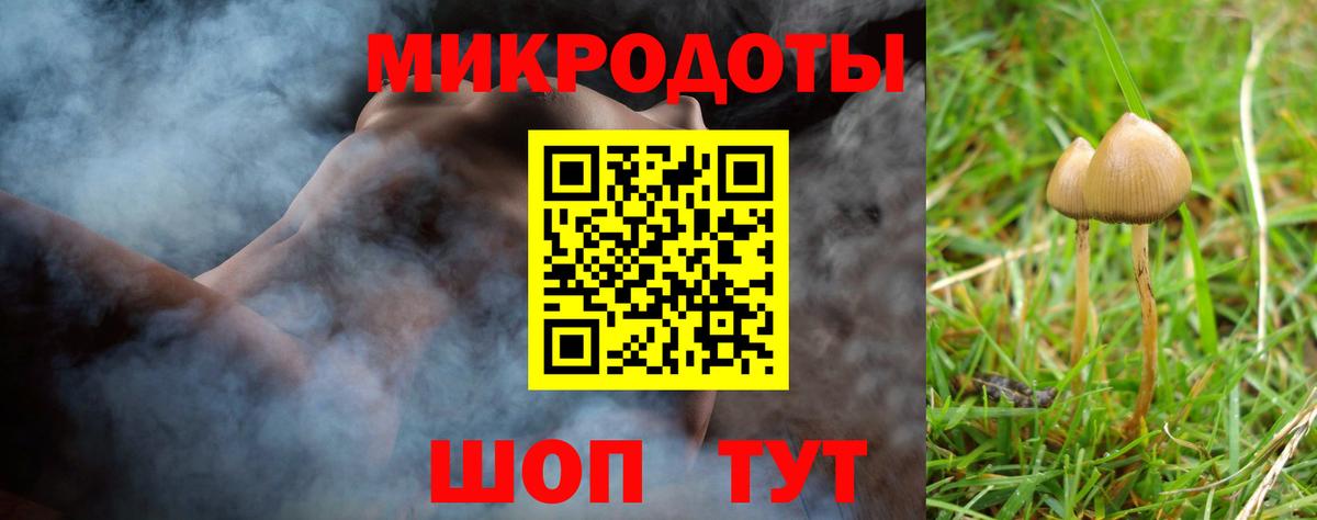 Псилоцибиновые грибы ЛСД Алейск